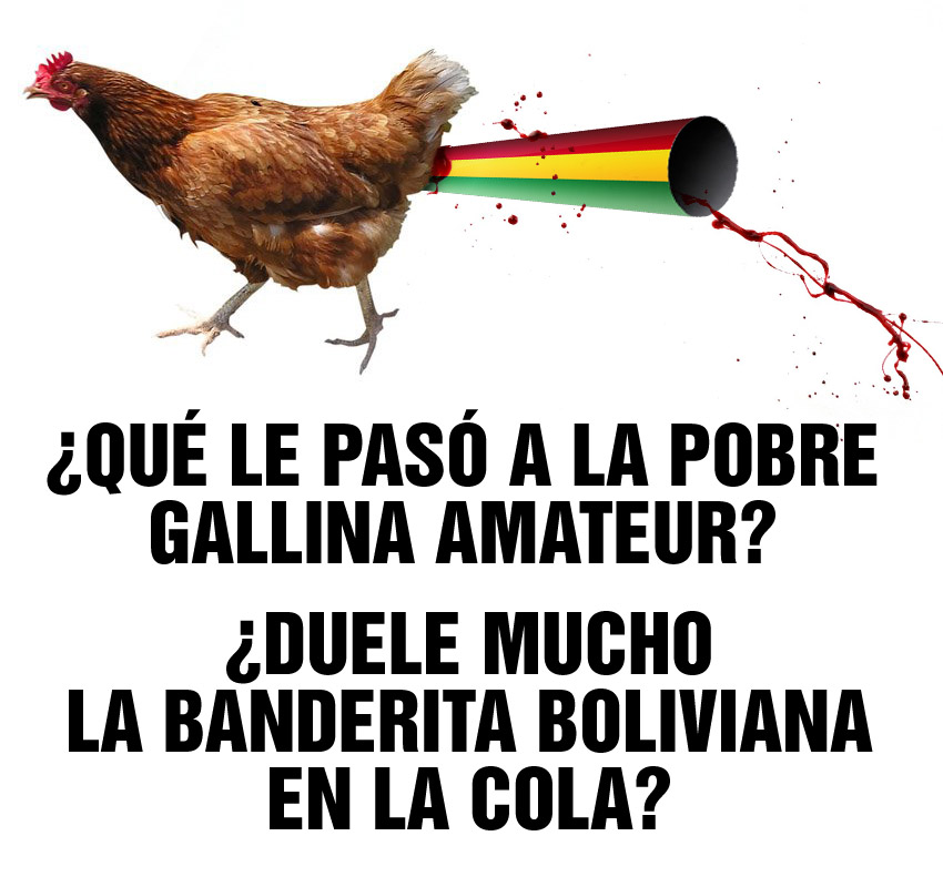 galli BANDERA BOLIVIA.jpg